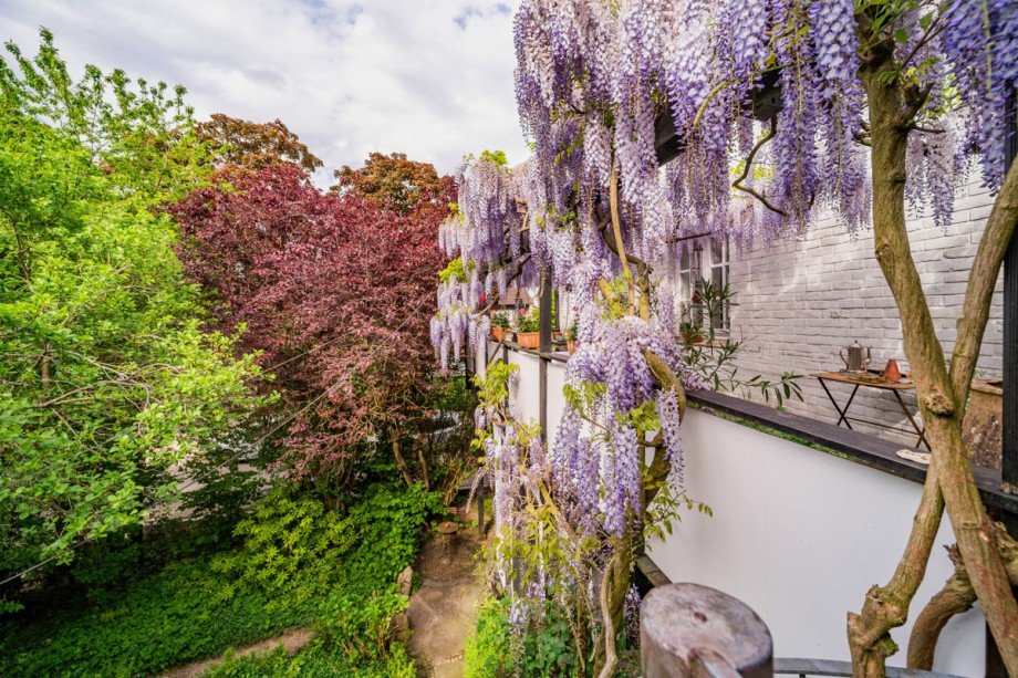 Detailbild Balkon Reihenendhaus Kleve