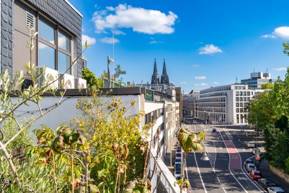 Domblick von der Dachterrasse Haus K�ln