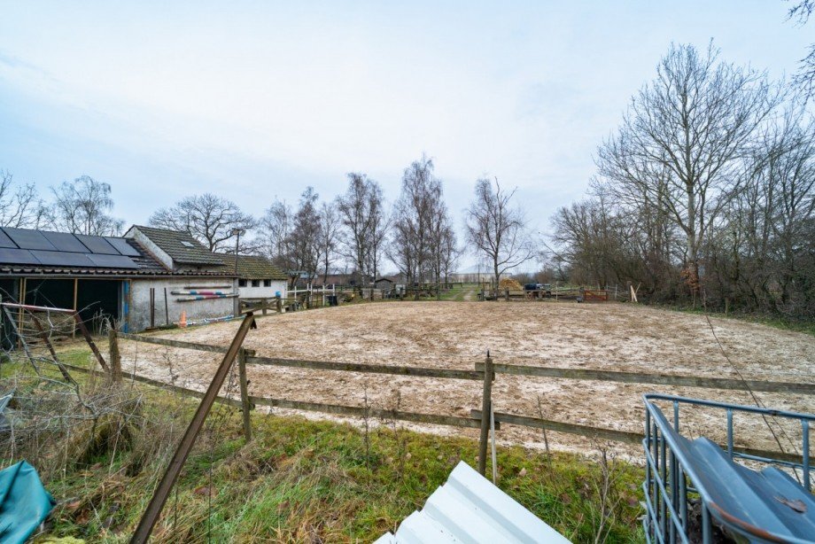Pferdeplatz Einfamilienhaus Weeze