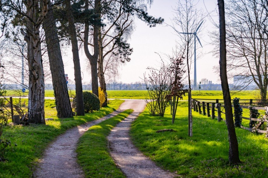Einfahrt Einfamilienhaus Weeze